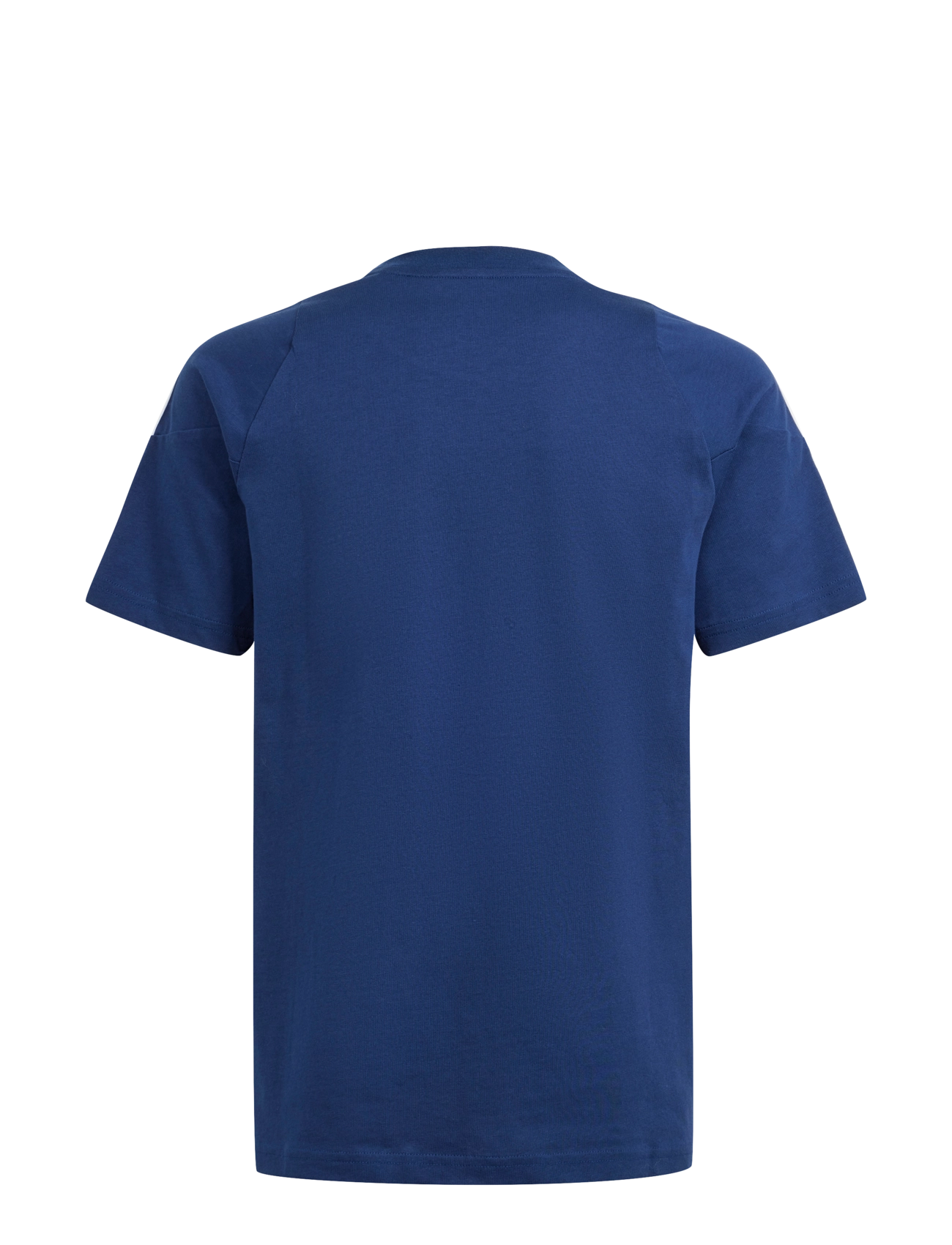adidas Performance - TIRO24 SWTEEY - sporttoppar - tenabl/white - 1
