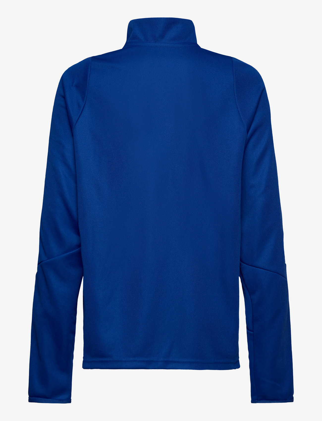 adidas Performance - TIRO24 TRTOPY - sweatshirts - royblu/white - 1