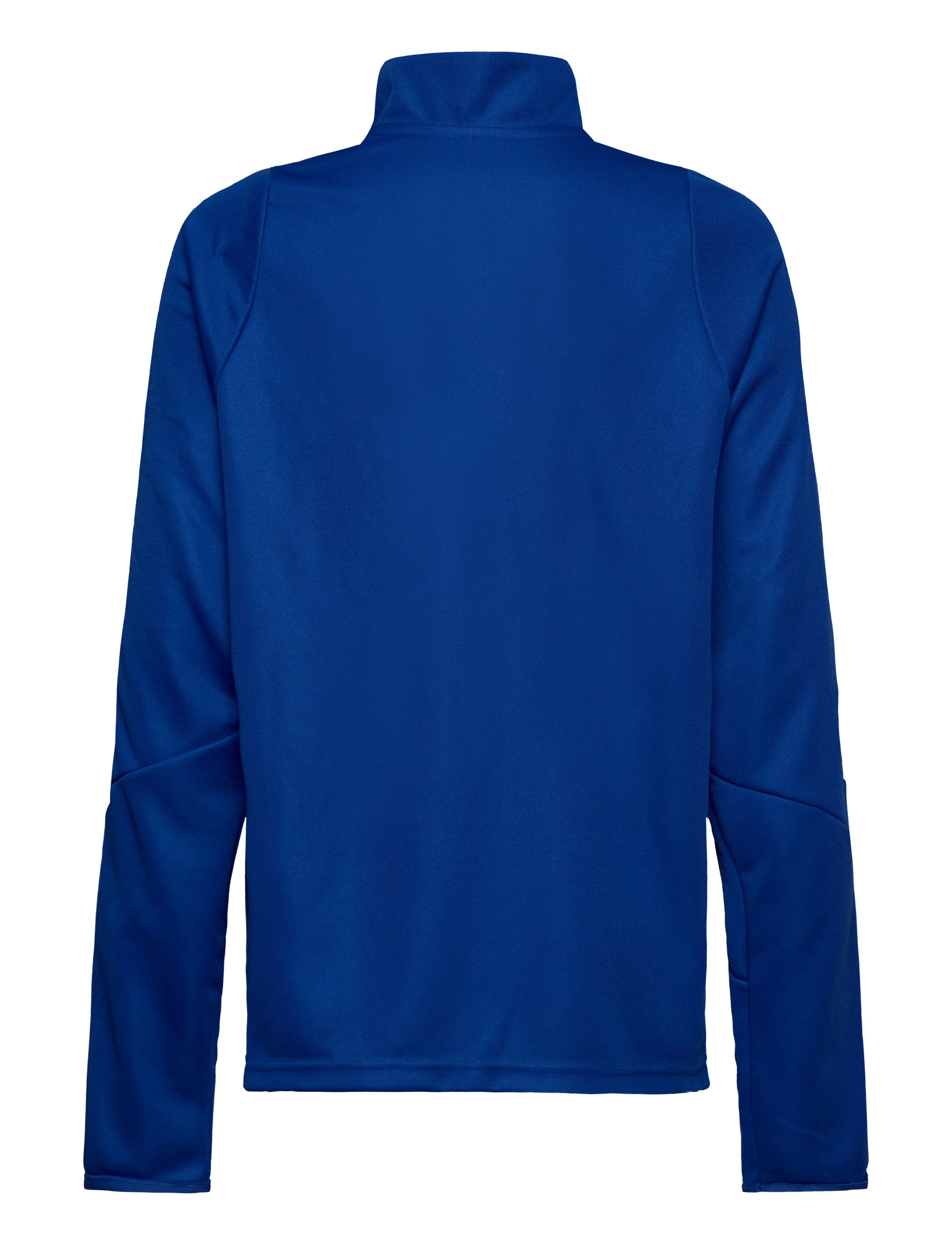adidas Performance - TIRO24 TRTOPY - sweatshirts - royblu/white - 1