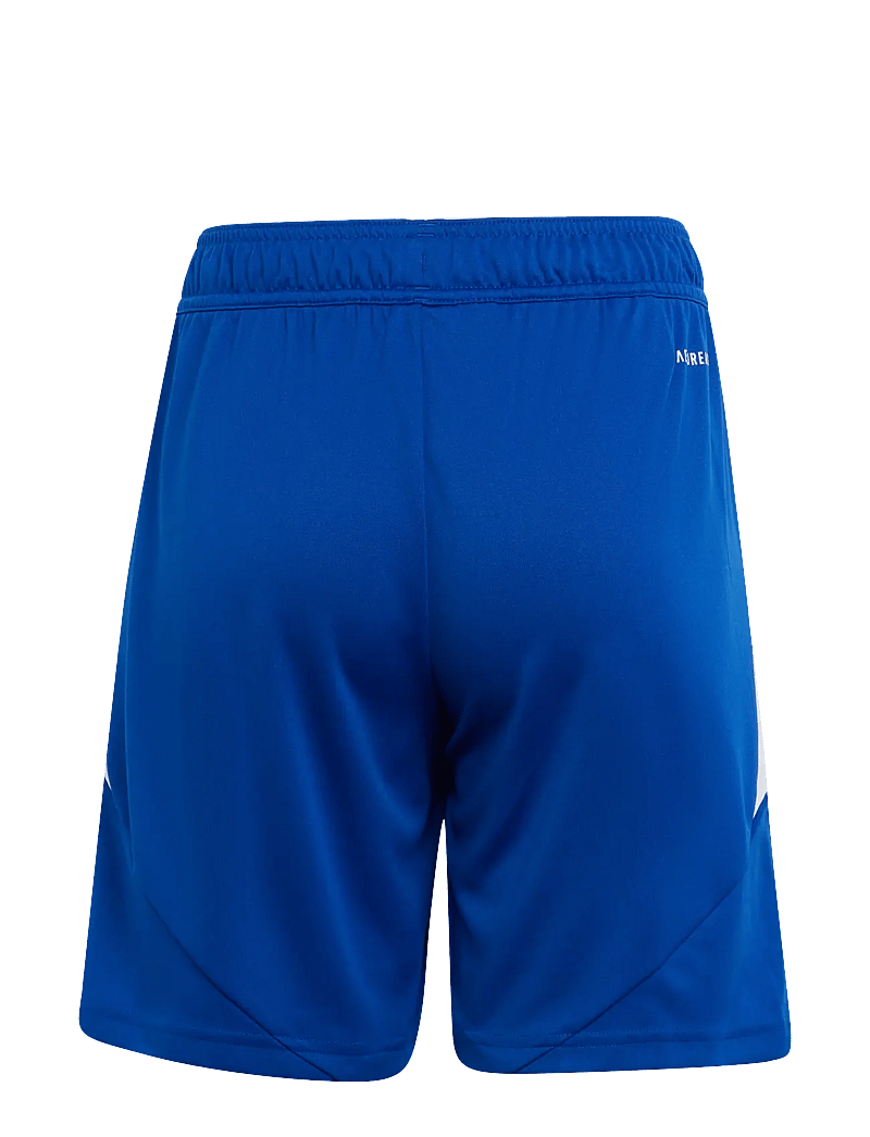 adidas Performance - TIRO24 SHO Y - sport-shorts - royblu/white - 1