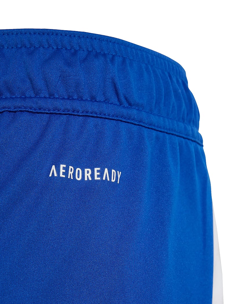 adidas Performance - TIRO24 SHO Y - sport-shorts - royblu/white - 2