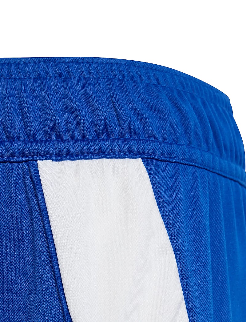 adidas Performance - TIRO24 SHO Y - sport-shorts - royblu/white - 4