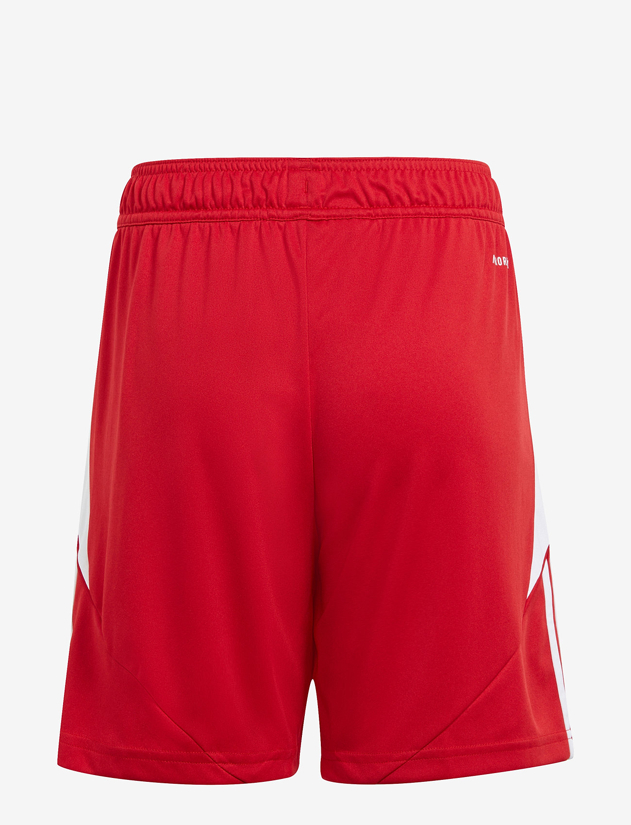 adidas Performance - TIRO24 SHO Y - sport shorts - tepore/white - 1