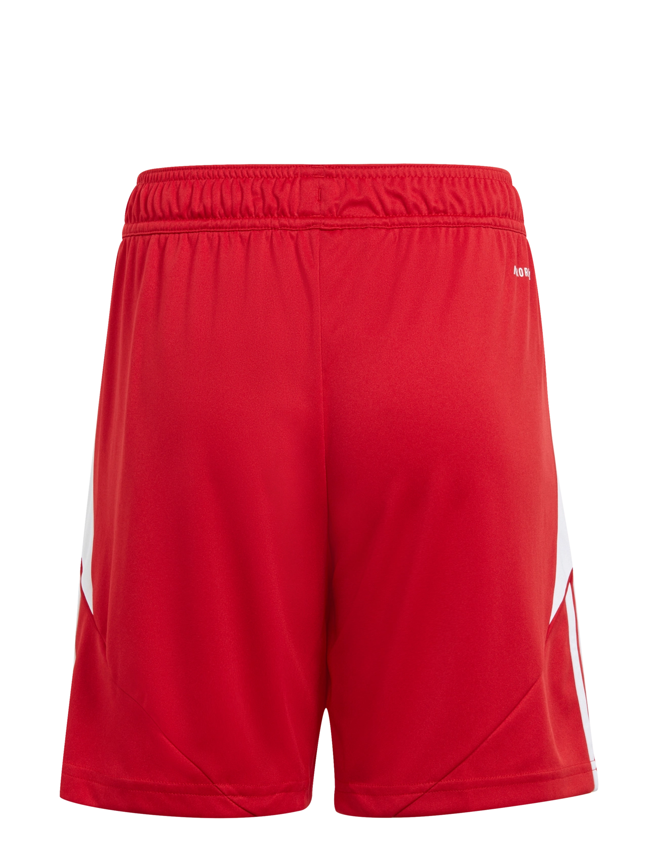 adidas Performance - TIRO24 SHO Y - sport shorts - tepore/white - 1