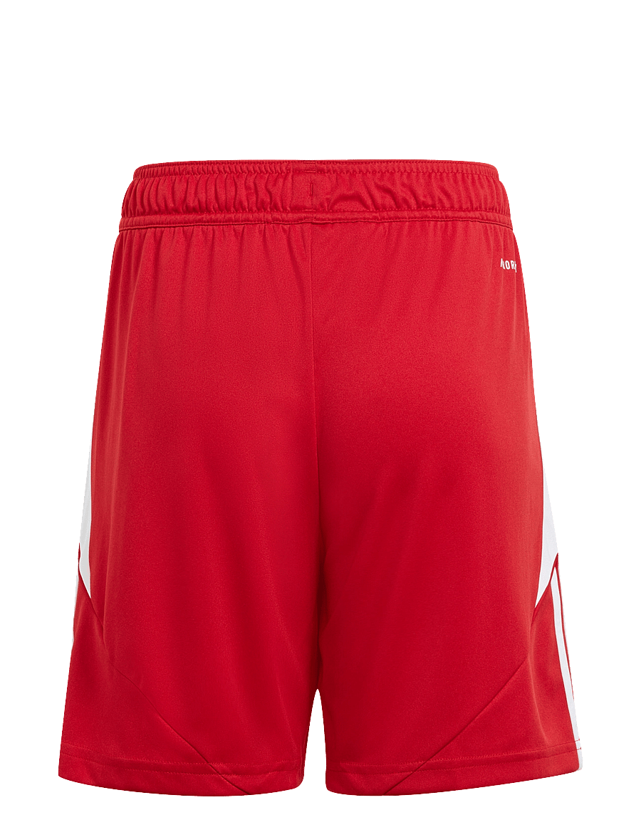 adidas Performance - TIRO24 SHO Y - sport-shorts - tepore/white - 1