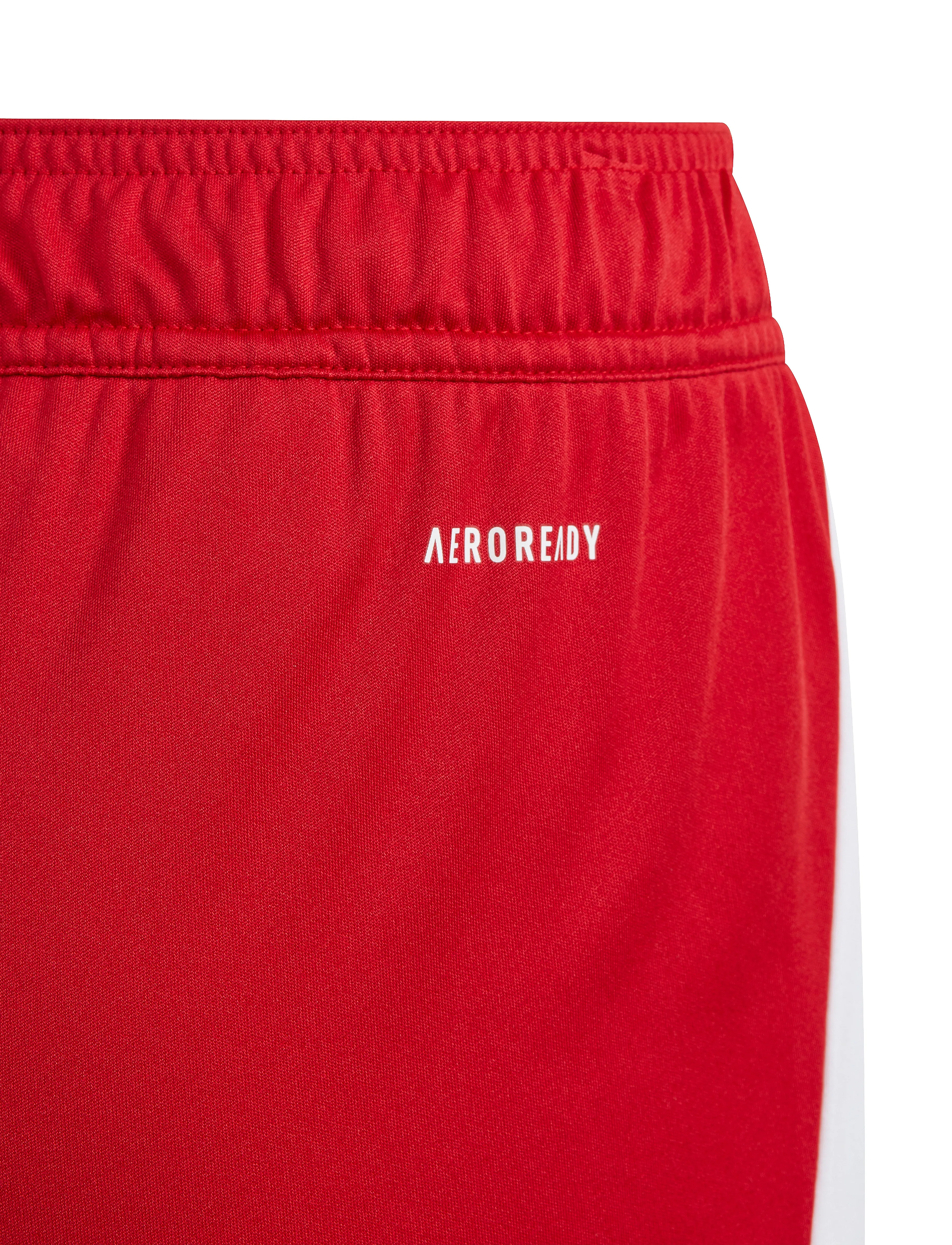 adidas Performance - TIRO24 SHO Y - sport shorts - tepore/white - 2
