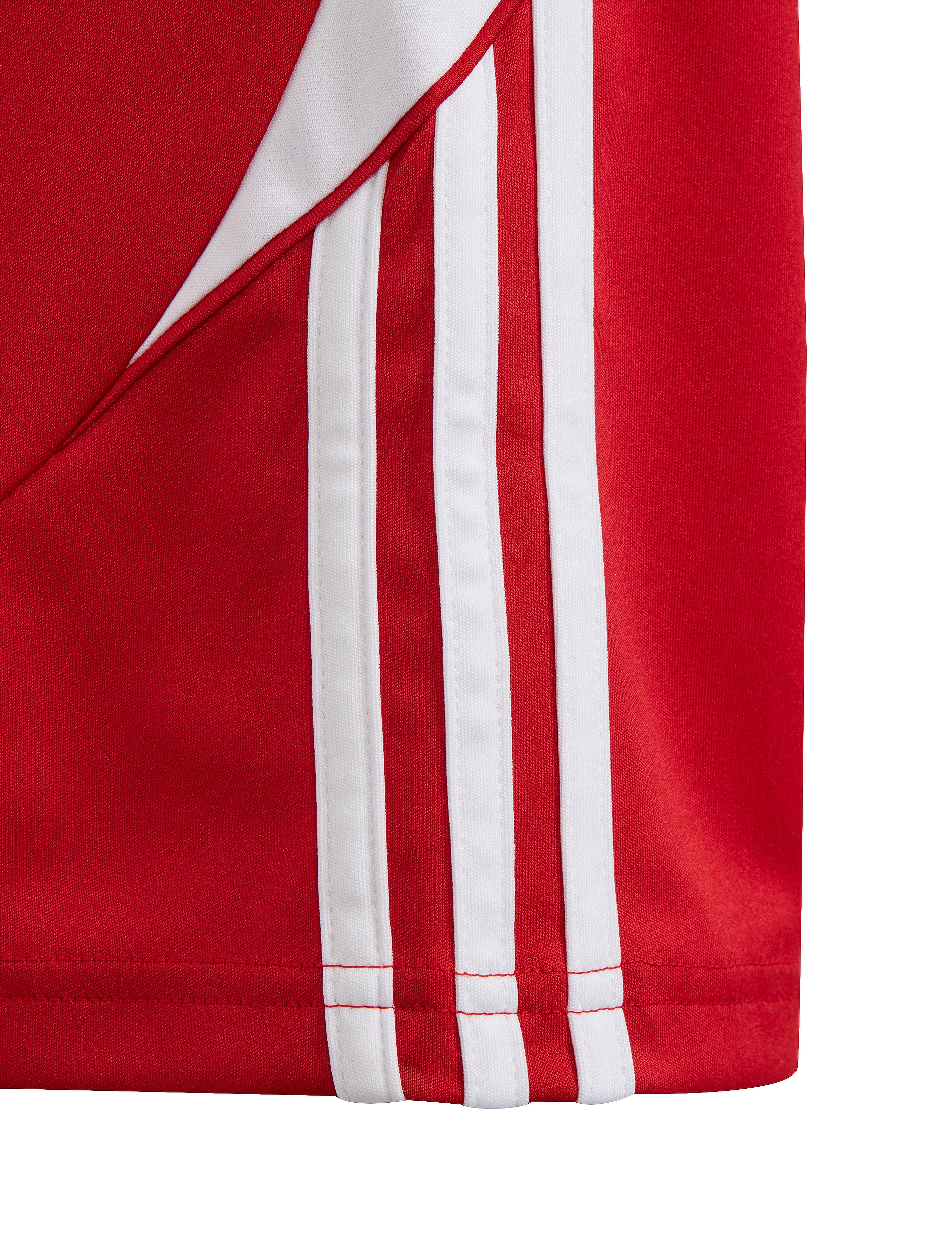 adidas Performance - TIRO24 SHO Y - sport shorts - tepore/white - 3