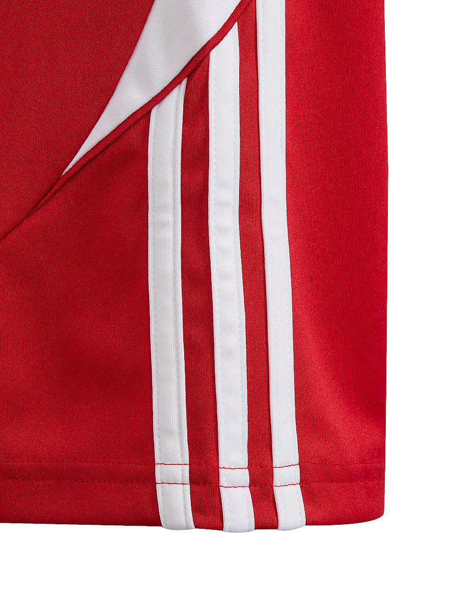 adidas Performance - TIRO24 SHO Y - sport-shorts - tepore/white - 3
