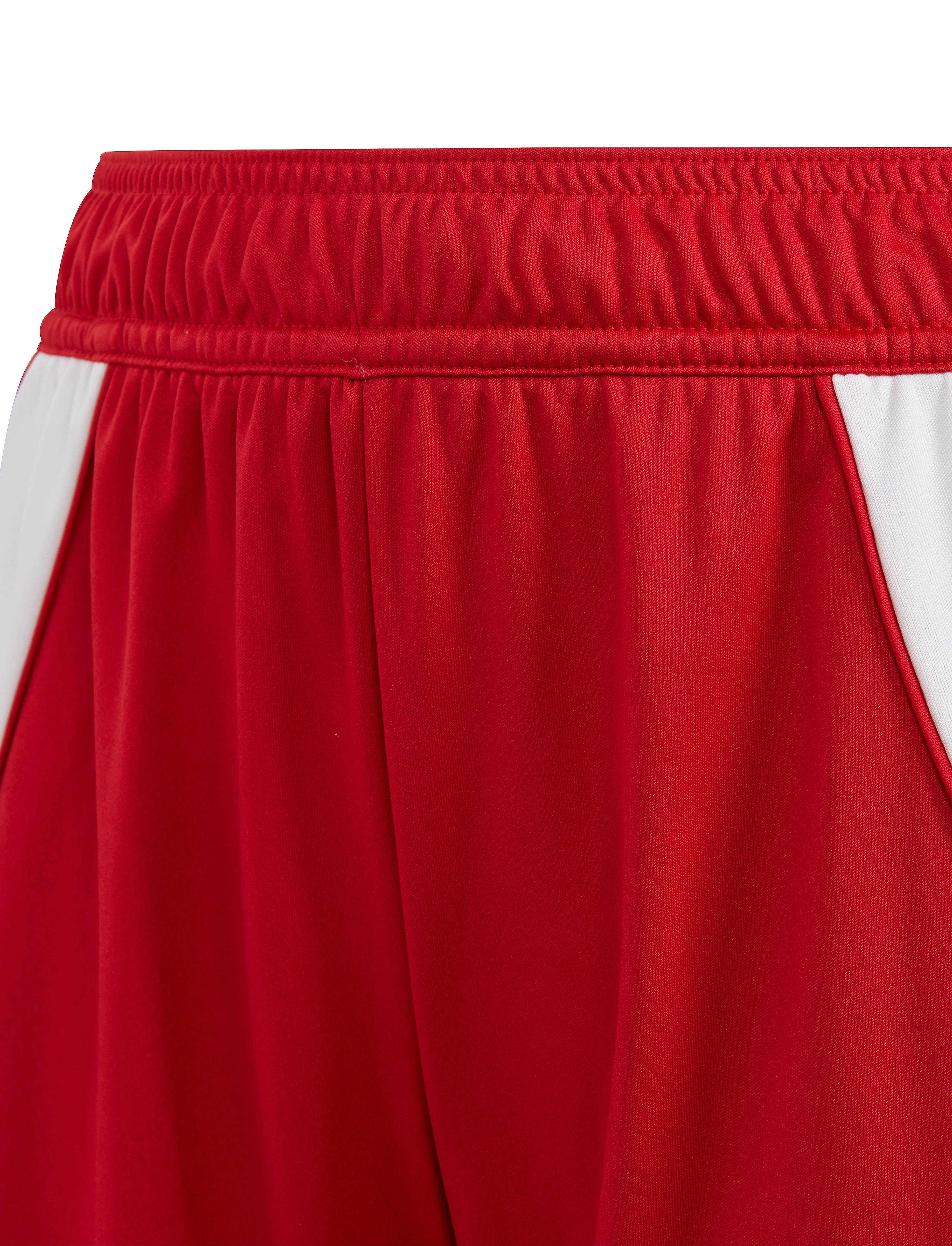 adidas Performance - TIRO24 SHO Y - sport shorts - tepore/white - 4