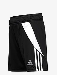 adidas Performance - TIRO24 SHORT KIDS - sportiniai šortai - black/white - 2