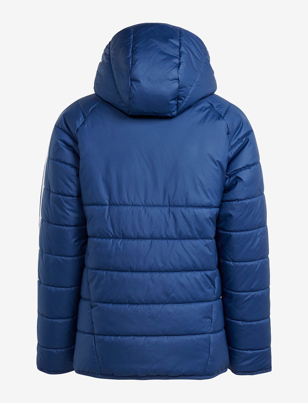 adidas Performance - TIRO24 WINTJKTY - isolerede jakker - navblu/white - 1