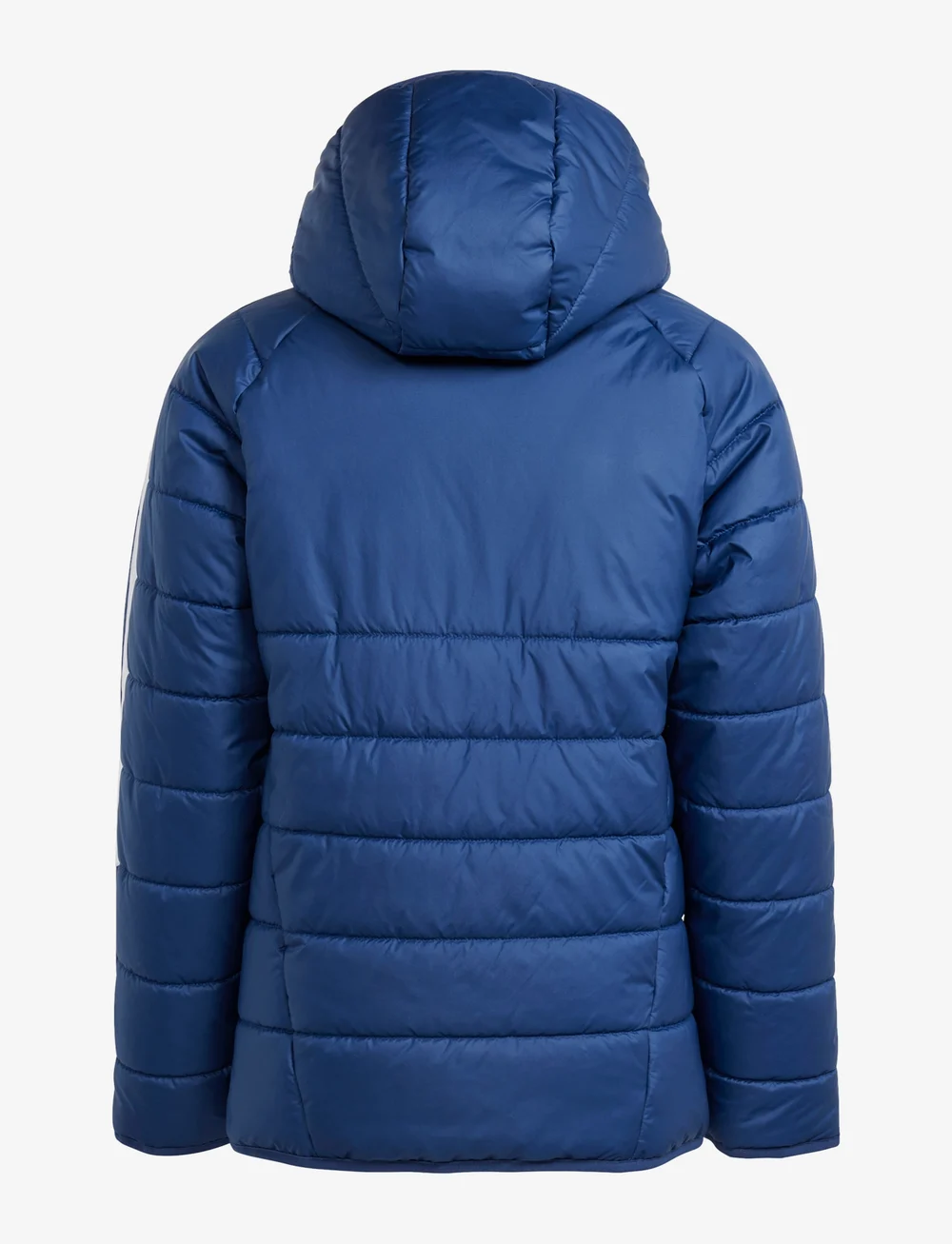 adidas Performance - TIRO24 WINTJKTY - isolierte jacken - navblu/white - 1