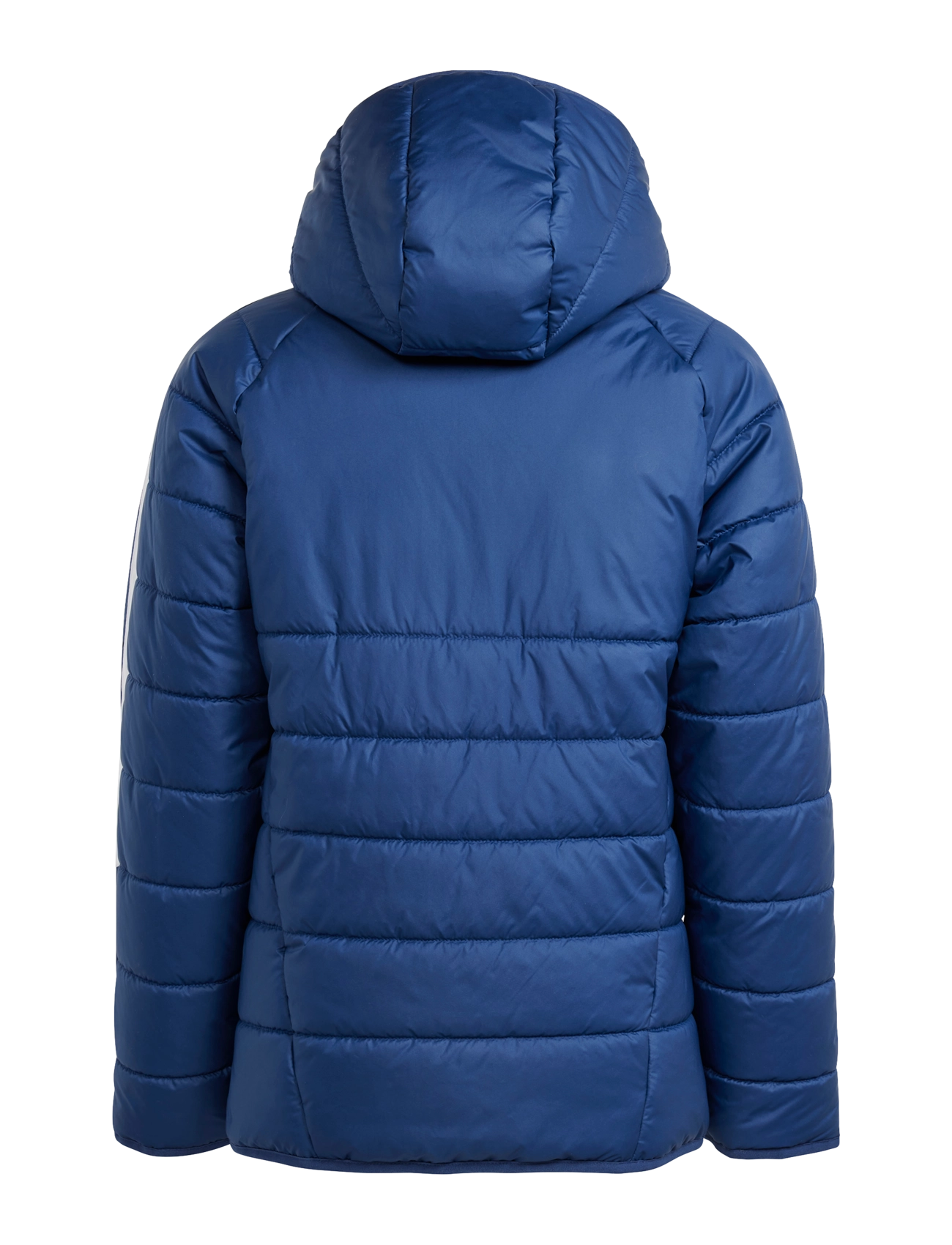 adidas Performance - TIRO24 WINTJKTY - paksud joped - navblu/white - 1