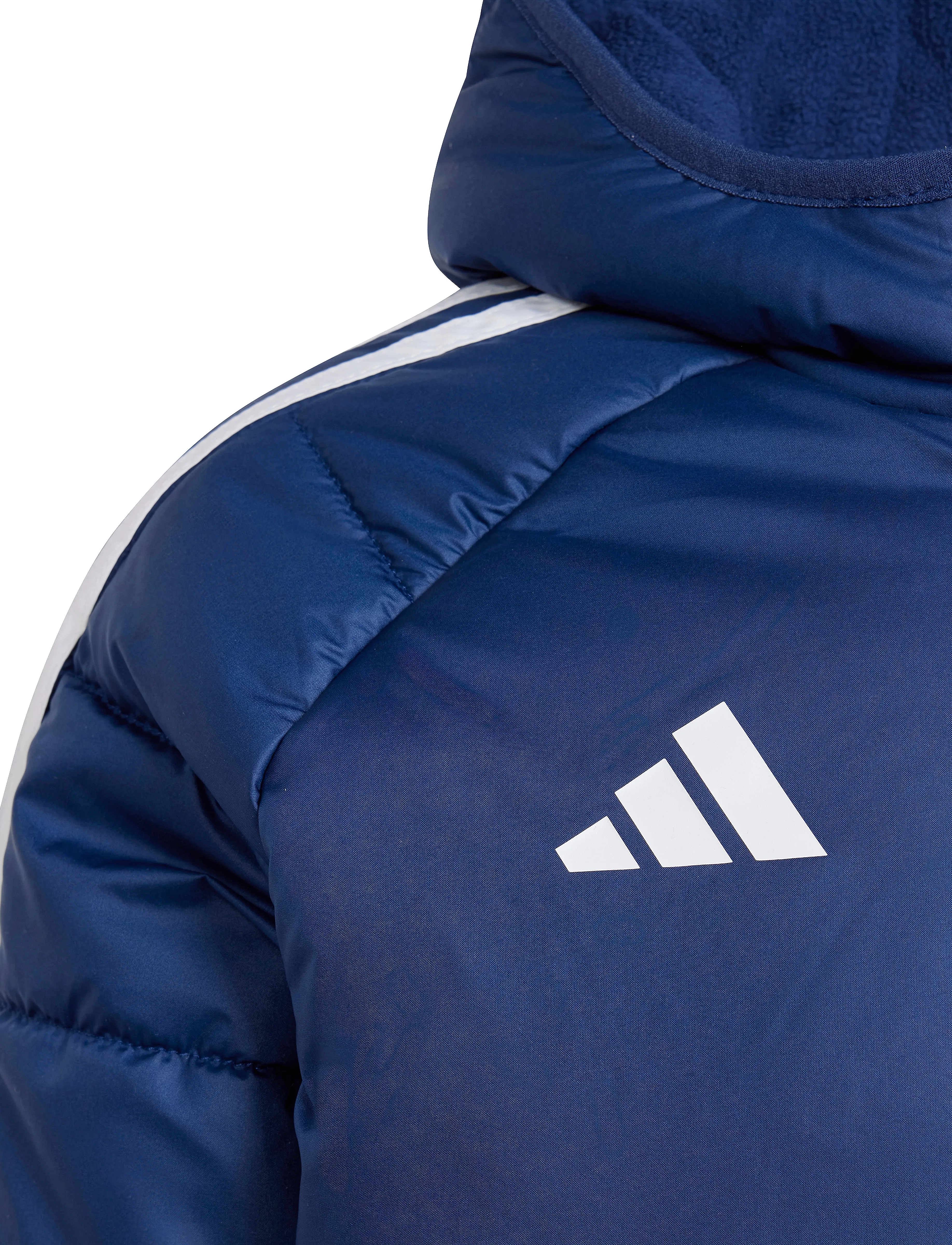 adidas Performance - TIRO24 WINTJKTY - paksud joped - navblu/white - 2