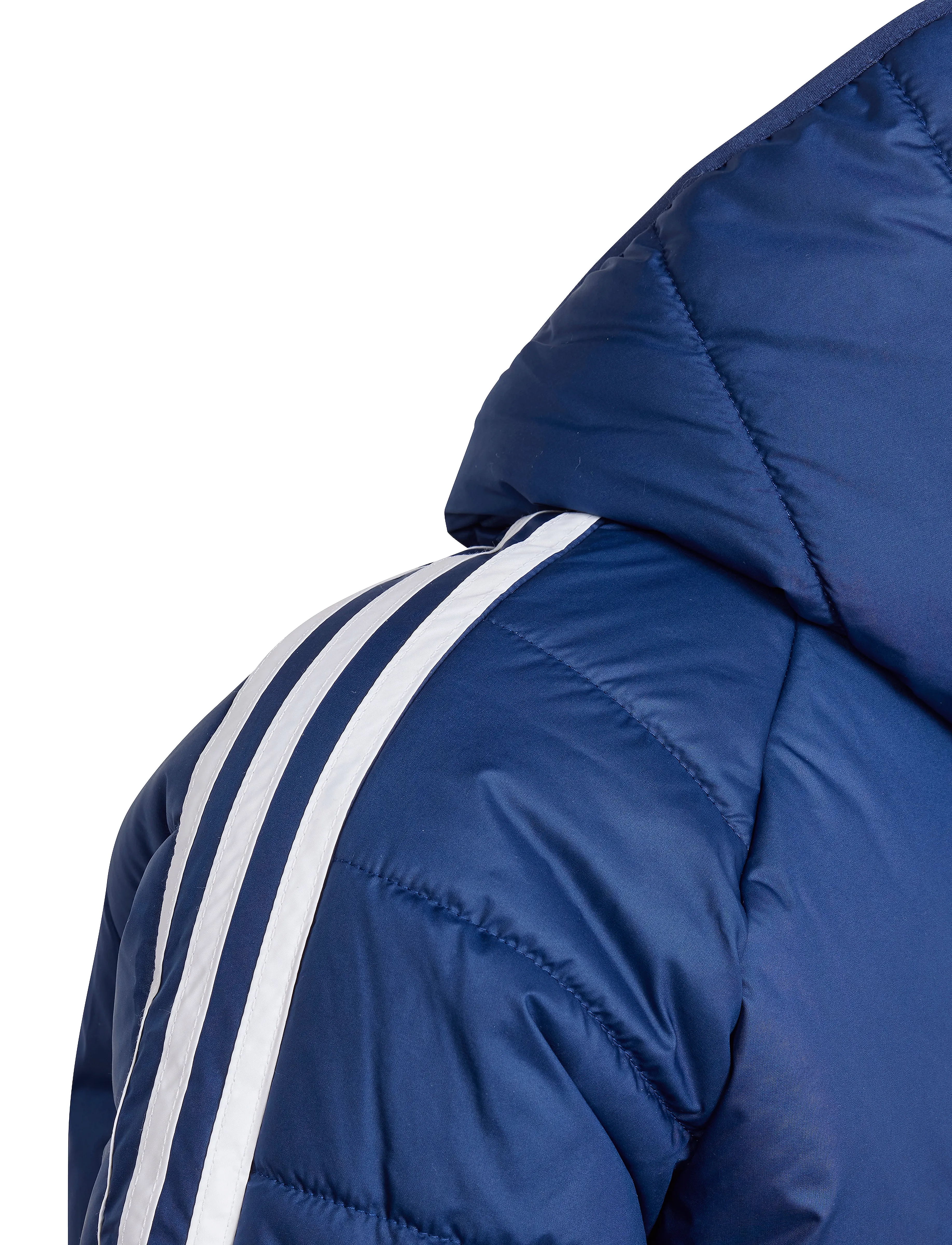 adidas Performance - TIRO24 WINTJKTY - paksud joped - navblu/white - 3
