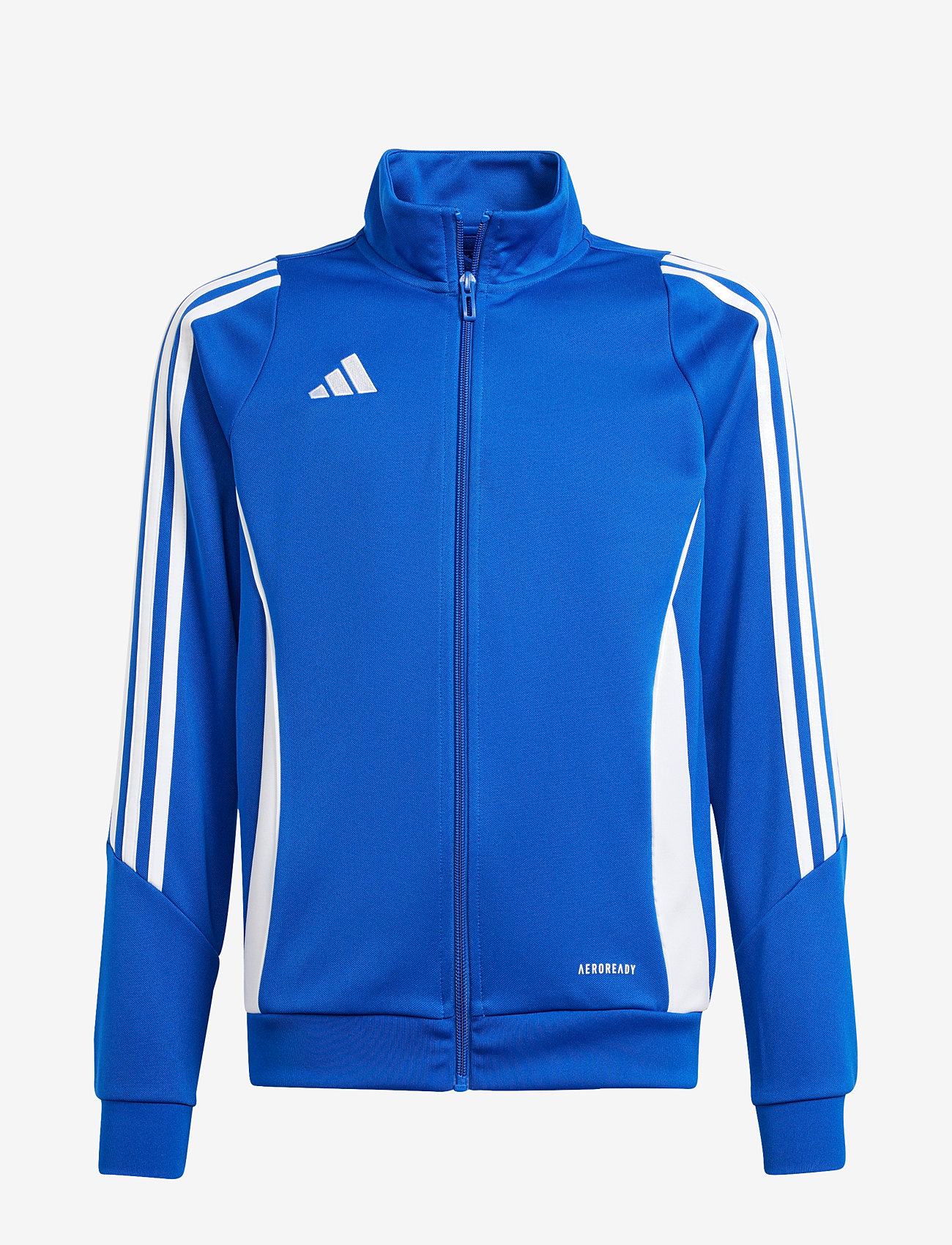 adidas Performance - TIRO24 TRJKTY - dressipluusid - royblu/white - 0