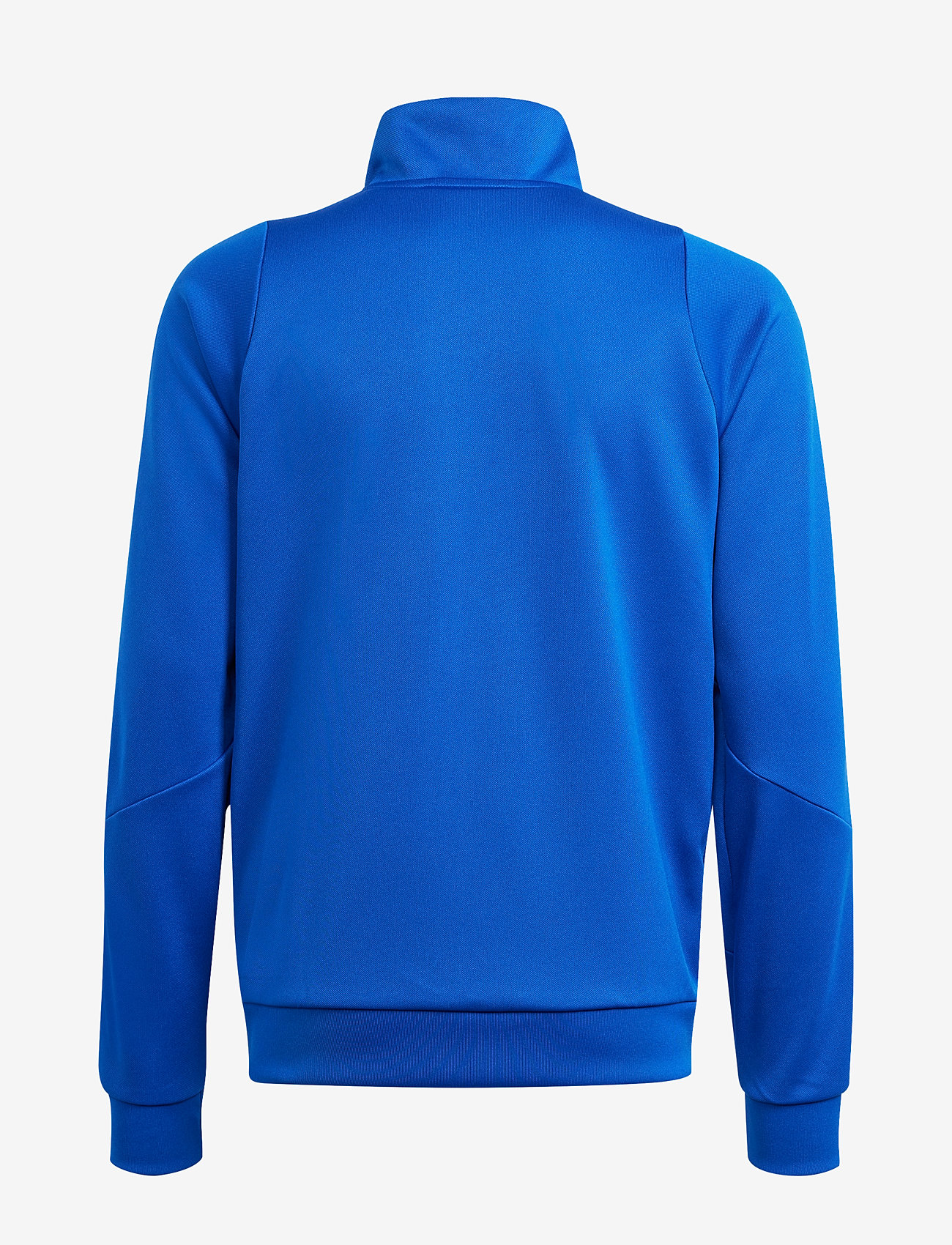 adidas Performance - TIRO24 TRJKTY - dressipluusid - royblu/white - 1