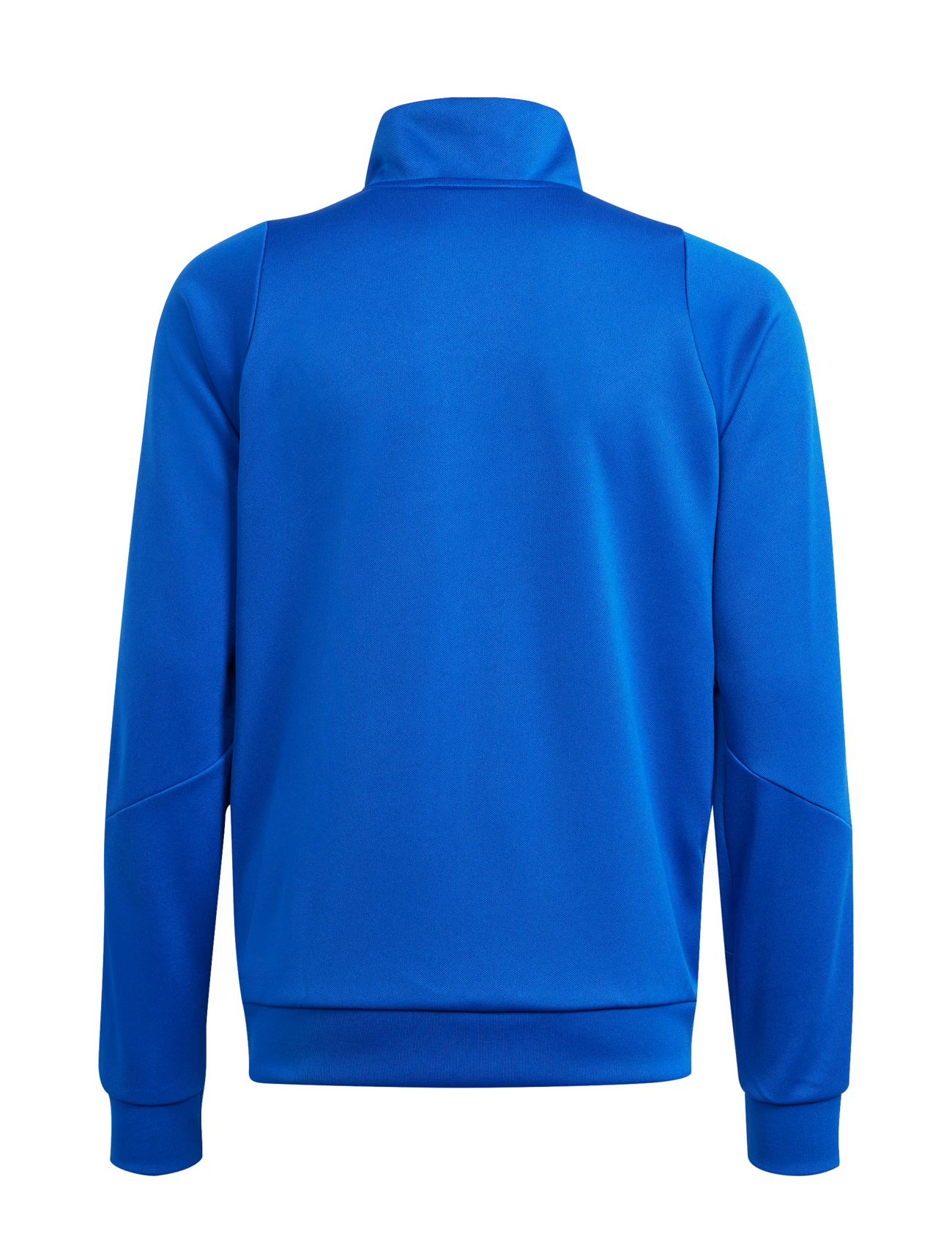 adidas Performance - TIRO24 TRJKTY - sweatshirts - royblu/white - 1