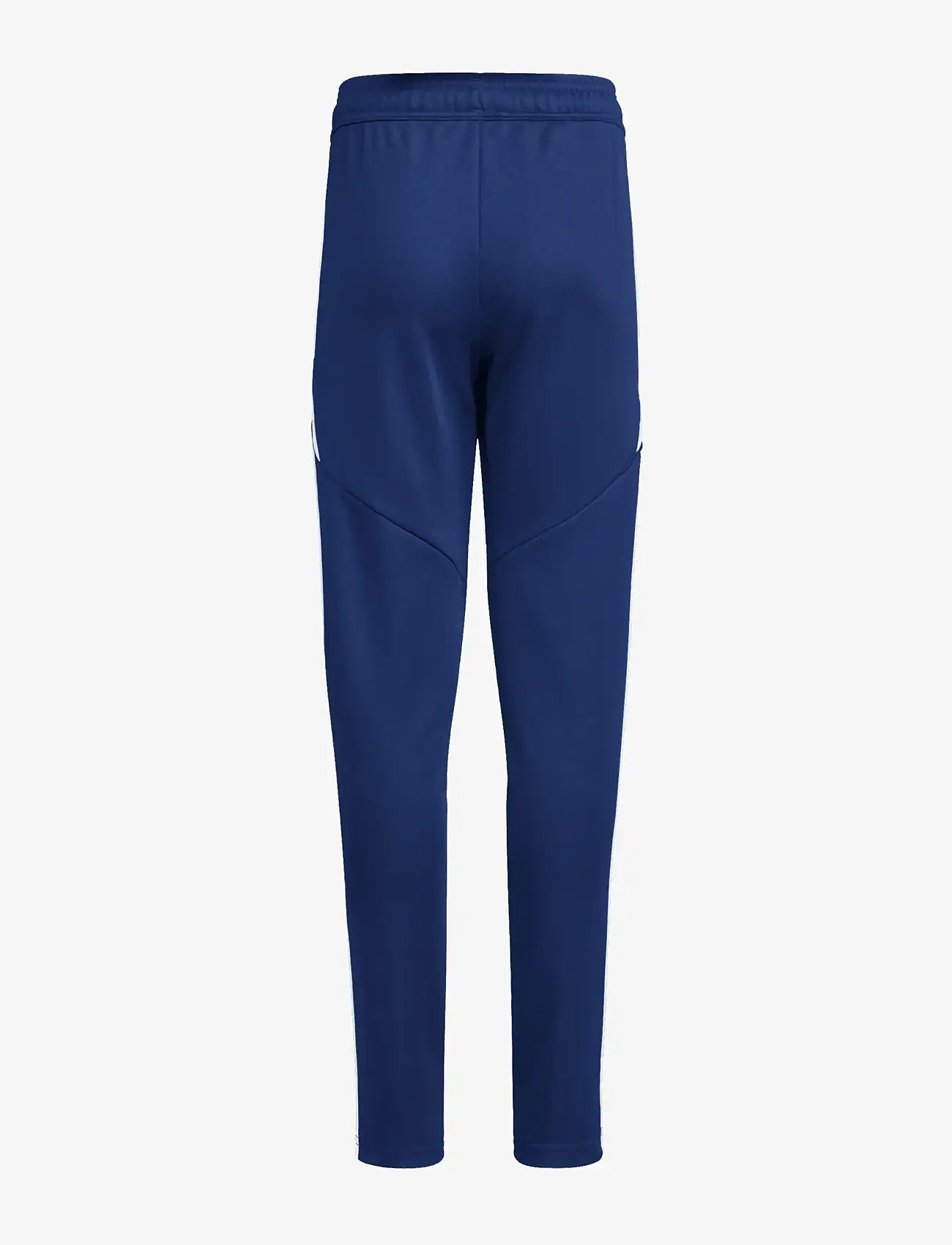 adidas Performance - TIRO24 TRPTW - training pants - tenabl/white - 2