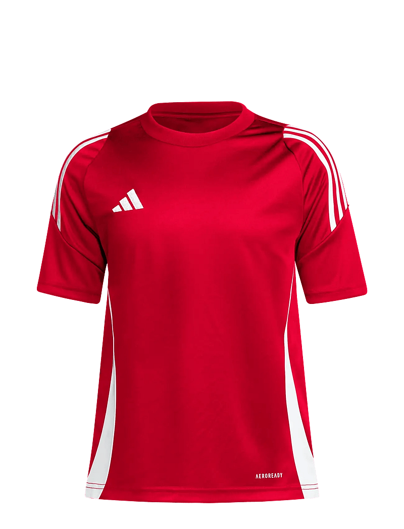 adidas Performance - TIRO24 JSYY - sportstoppe - tepore/white - 0