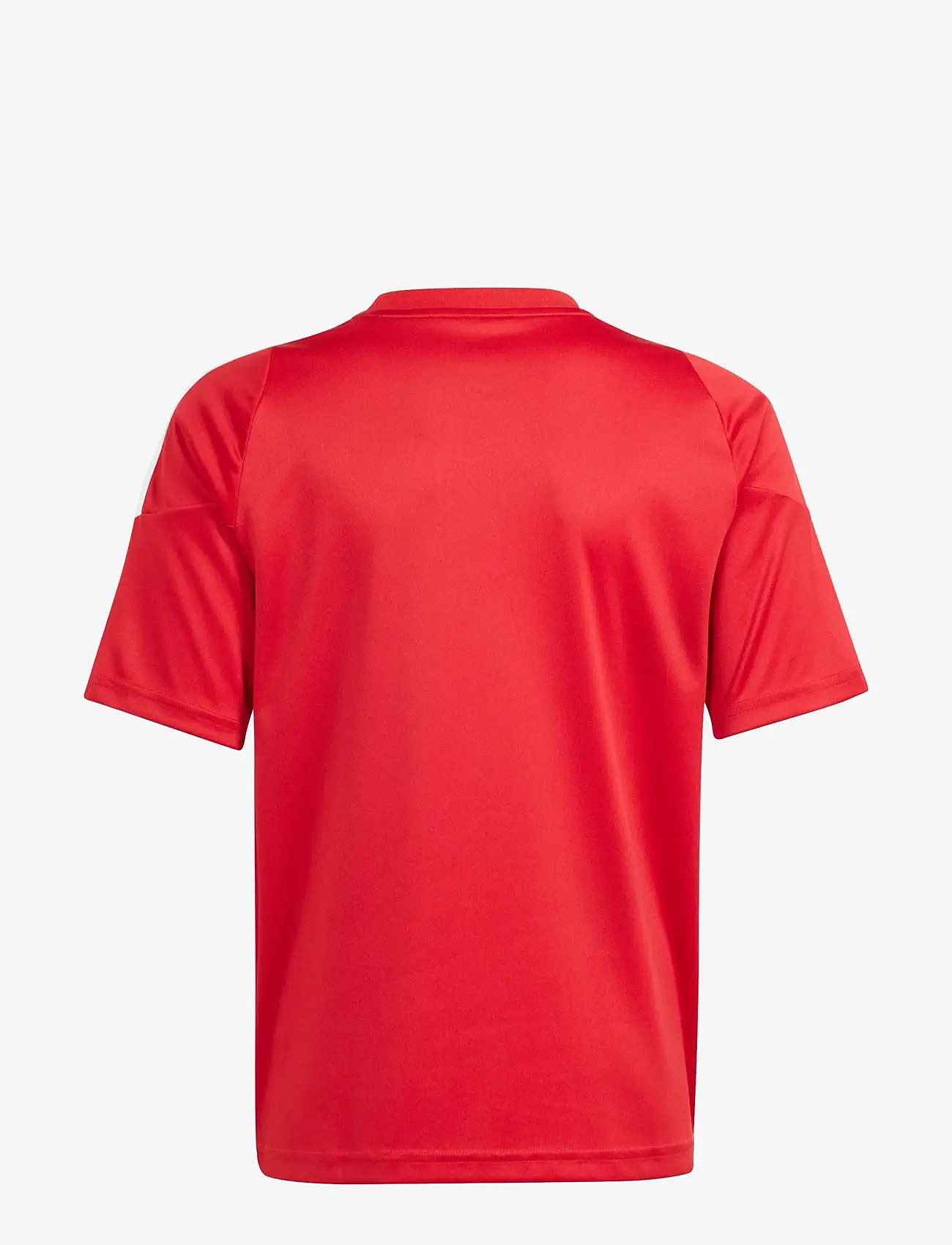 adidas Performance - TIRO24 JSYY - sportstoppe - tepore/white - 1