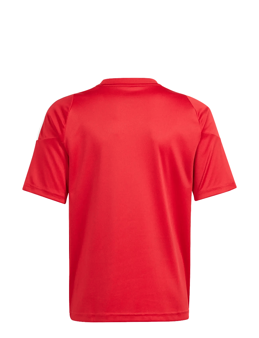 adidas Performance - TIRO24 JSYY - spordisärgid - tepore/white - 1