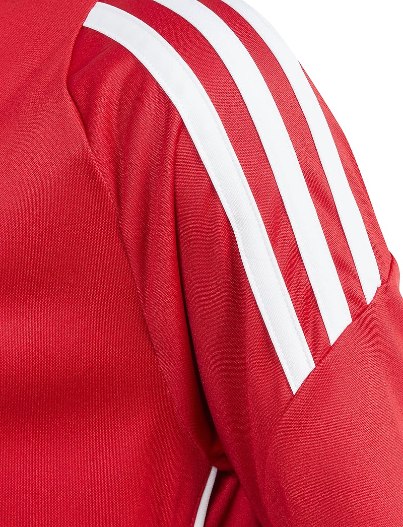 adidas Performance - TIRO24 JSYY - sportstoppe - tepore/white - 3
