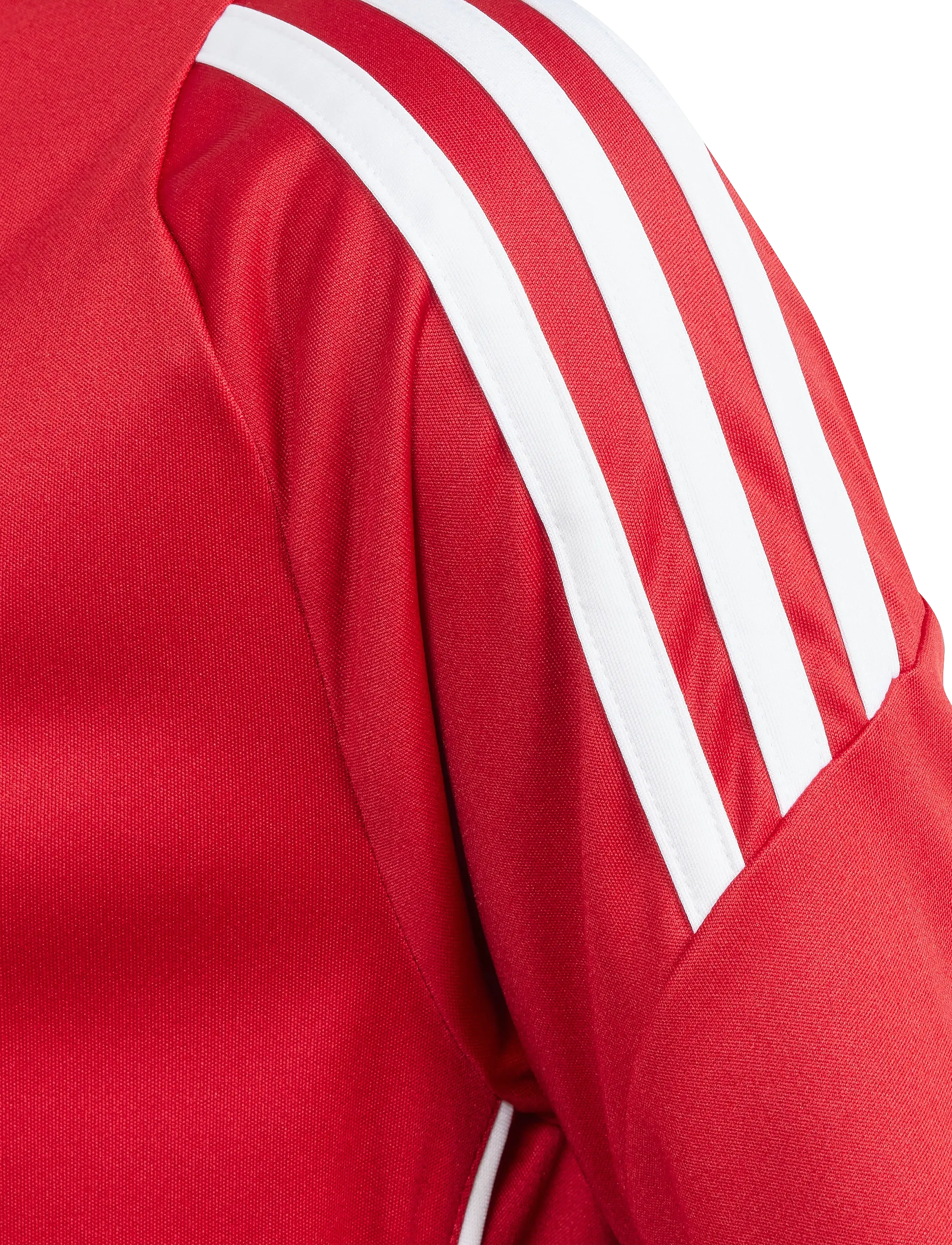 adidas Performance - TIRO24 JSYY - spordisärgid - tepore/white - 3