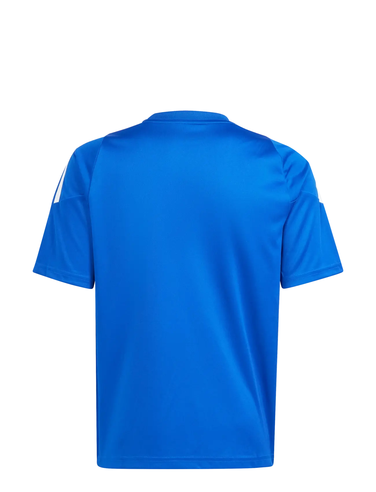 adidas Performance - TIRO24 JSYY - spordisärgid - royblu/white - 1