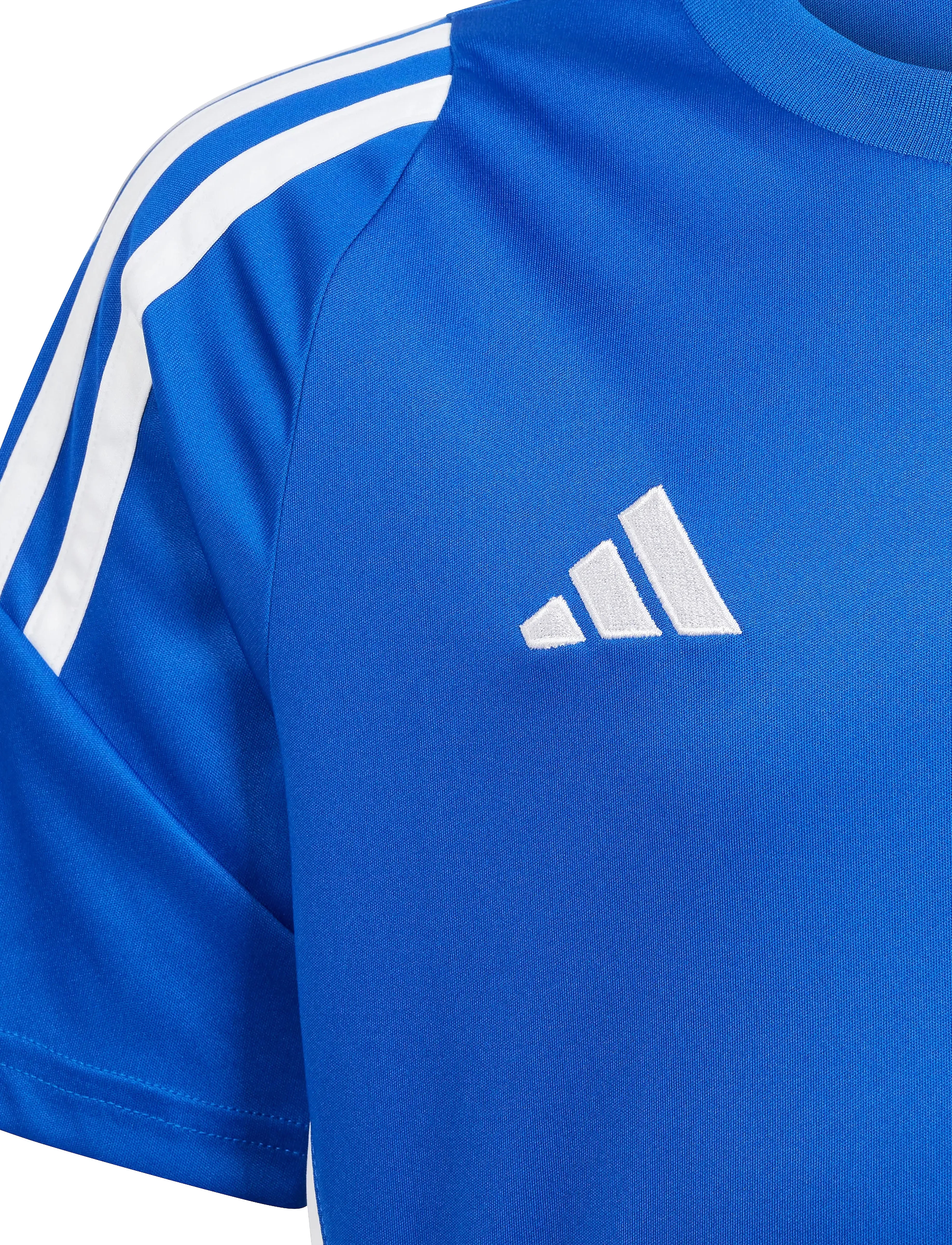 adidas Performance - TIRO24 JSYY - spordisärgid - royblu/white - 3