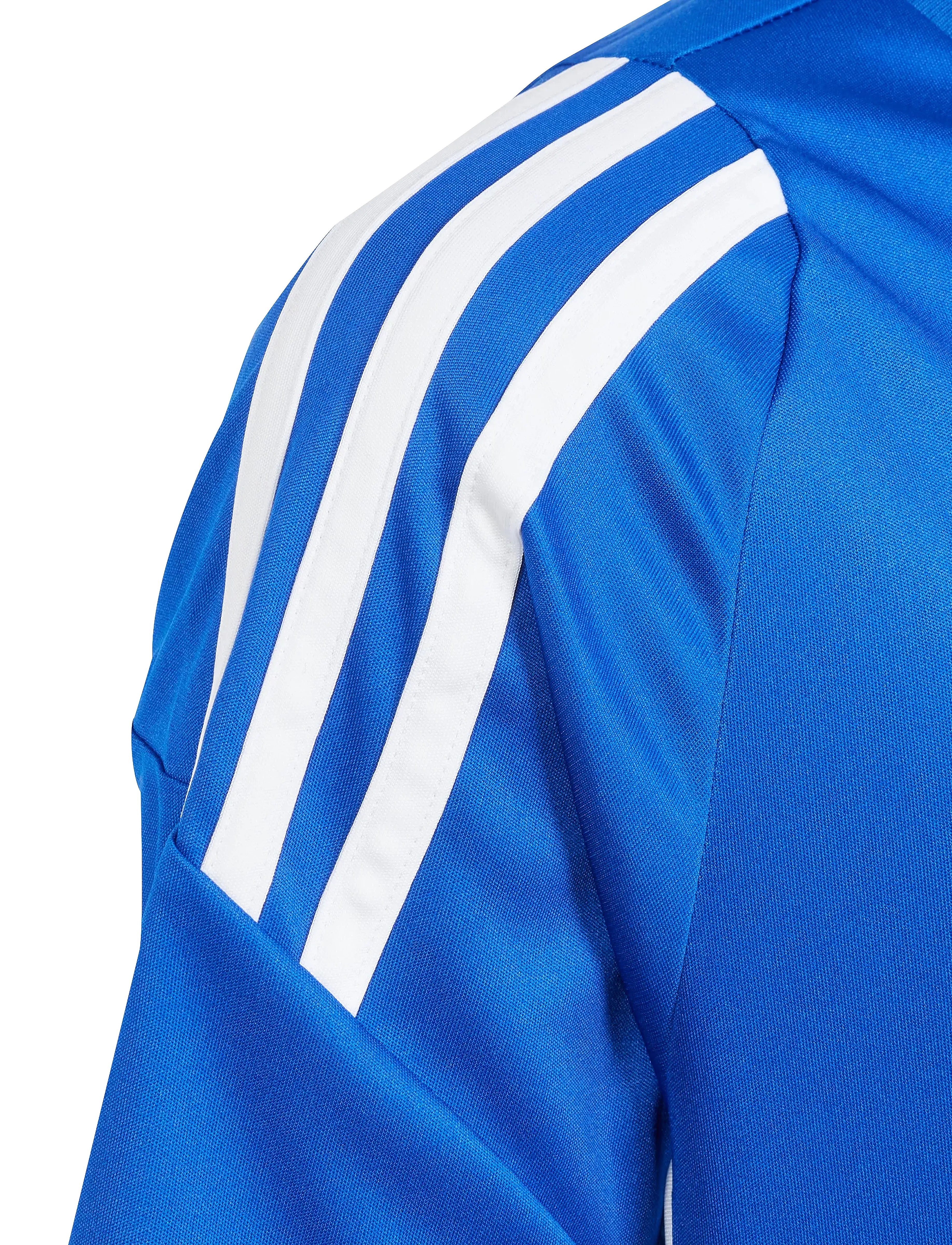 adidas Performance - TIRO24 JSYY - spordisärgid - royblu/white - 4