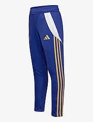 adidas Performance - MESSI PNT Y - sports bottoms - selubl/white - 2