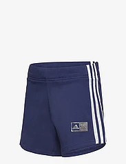 adidas Performance - LK DY 100 T SET - sets with short-sleeved t-shirt - royblu/dkblue/silvmt - 6