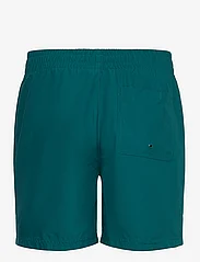 adidas Performance - ORIGINALS ESSENTIALS SOLID SWIM SHORT - autumn savings - legtea - 1