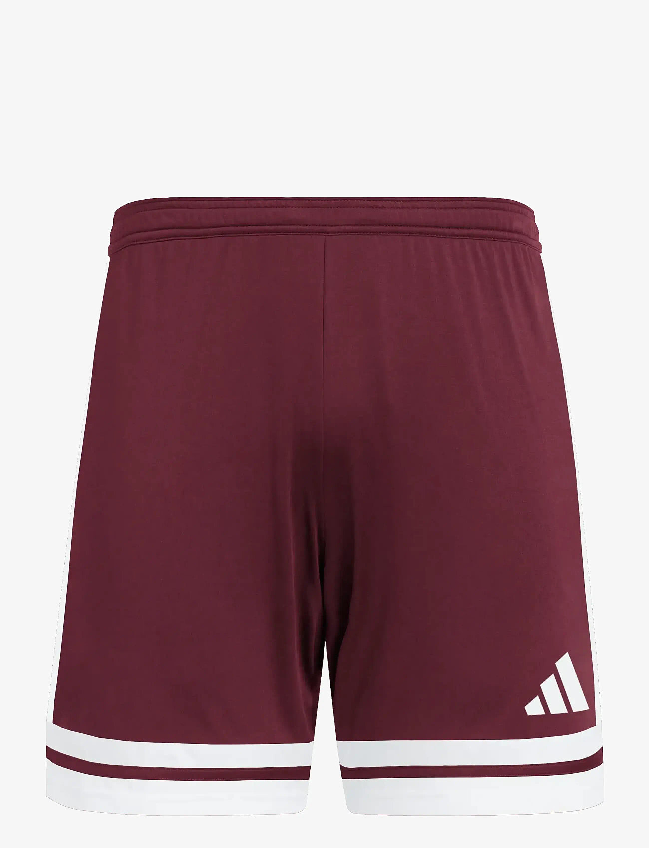 adidas Performance - SQUA25 SHO M - korte broek - teamar/white - 1