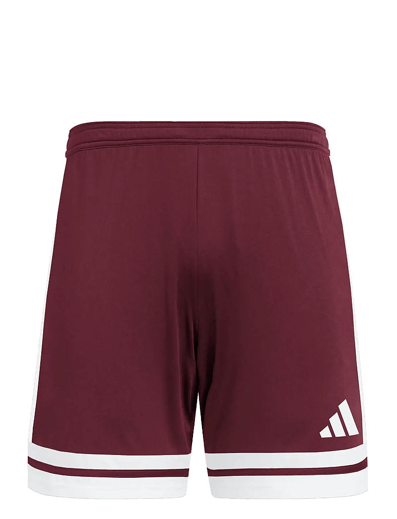 adidas Performance - SQUA25 SHO M - korte broek - teamar/white - 1