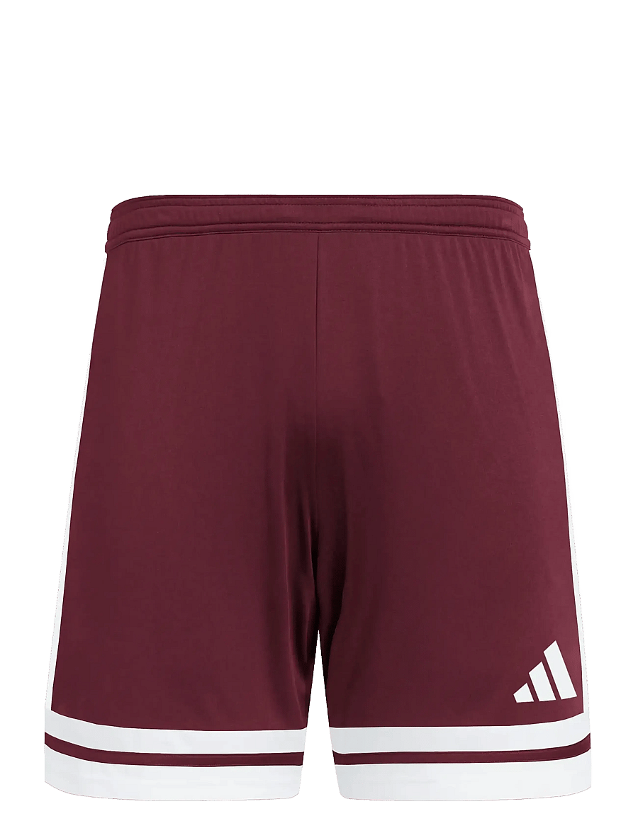 adidas Performance - SQUA25 SHO M - trainingsshorts - teamar/white - 1