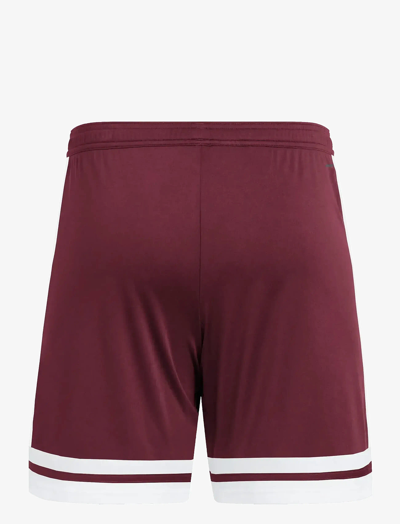 adidas Performance - SQUA25 SHO M - korte broek - teamar/white - 2