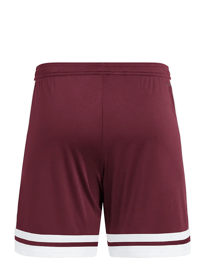 adidas Performance - SQUA25 SHO M - korte broek - teamar/white - 2