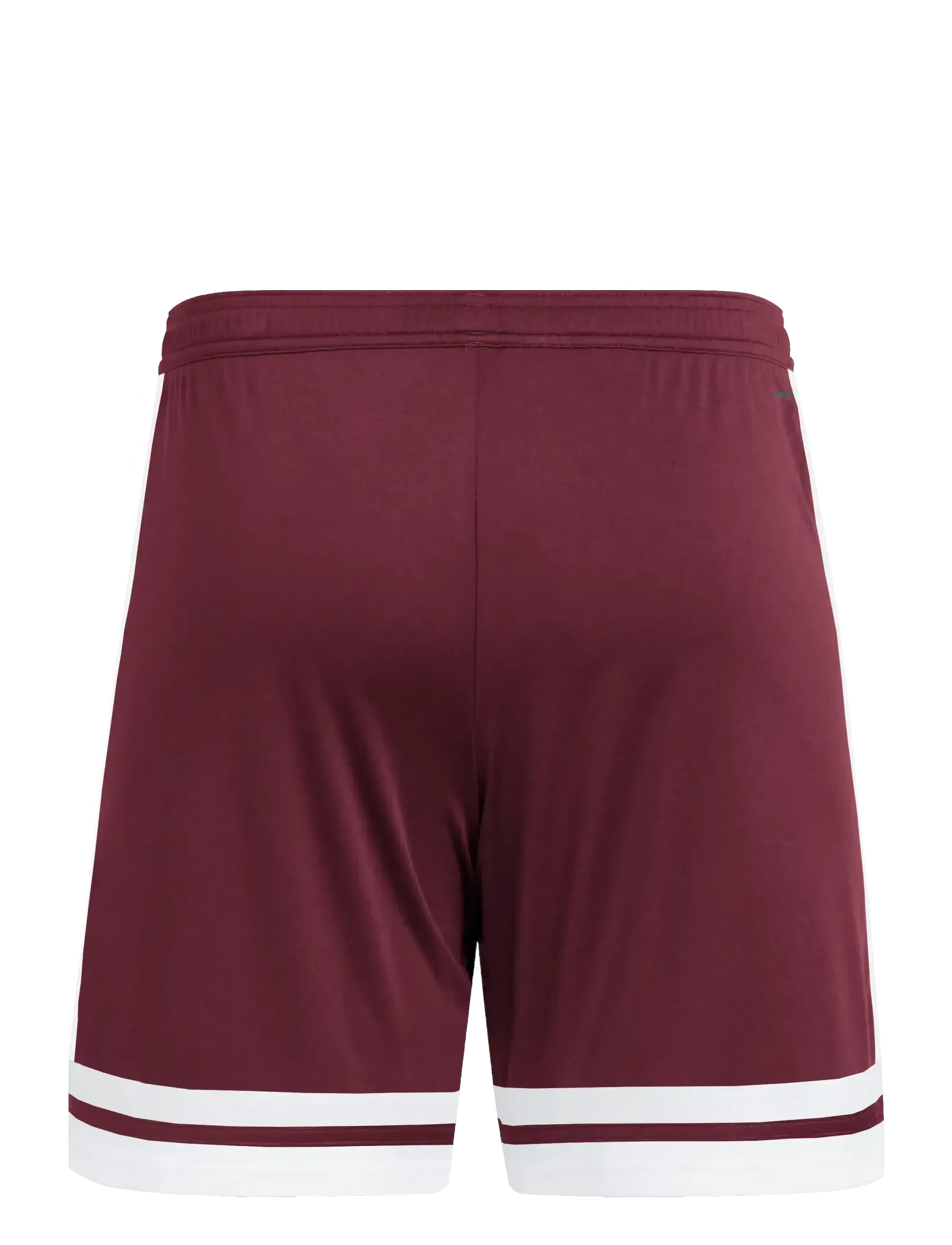 adidas Performance - SQUA25 SHO M - training shorts - teamar/white - 2