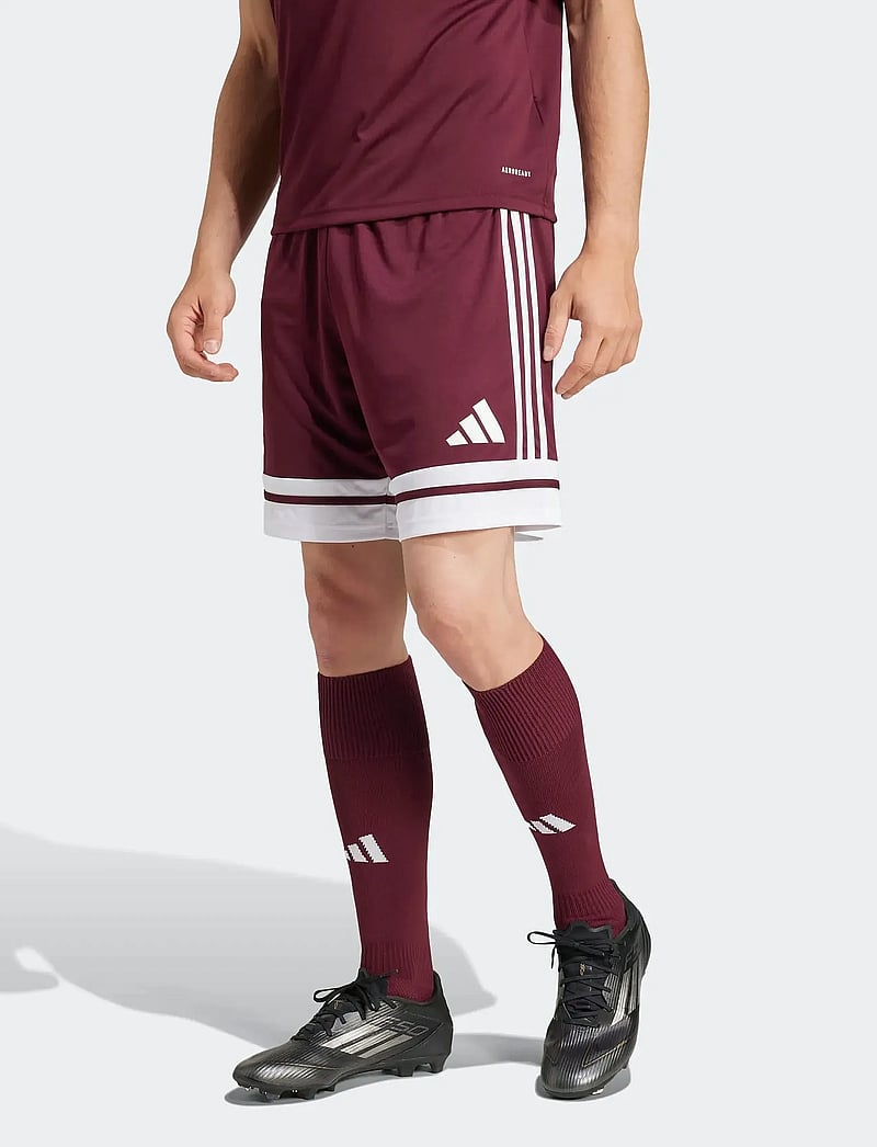adidas Performance - SQUA25 SHO M - korte broek - teamar/white - 0