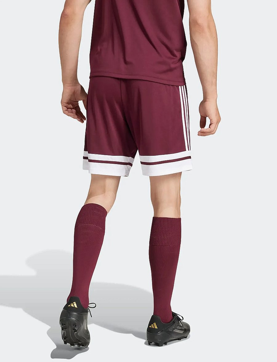 adidas Performance - SQUA25 SHO M - trainingsshorts - teamar/white - 4