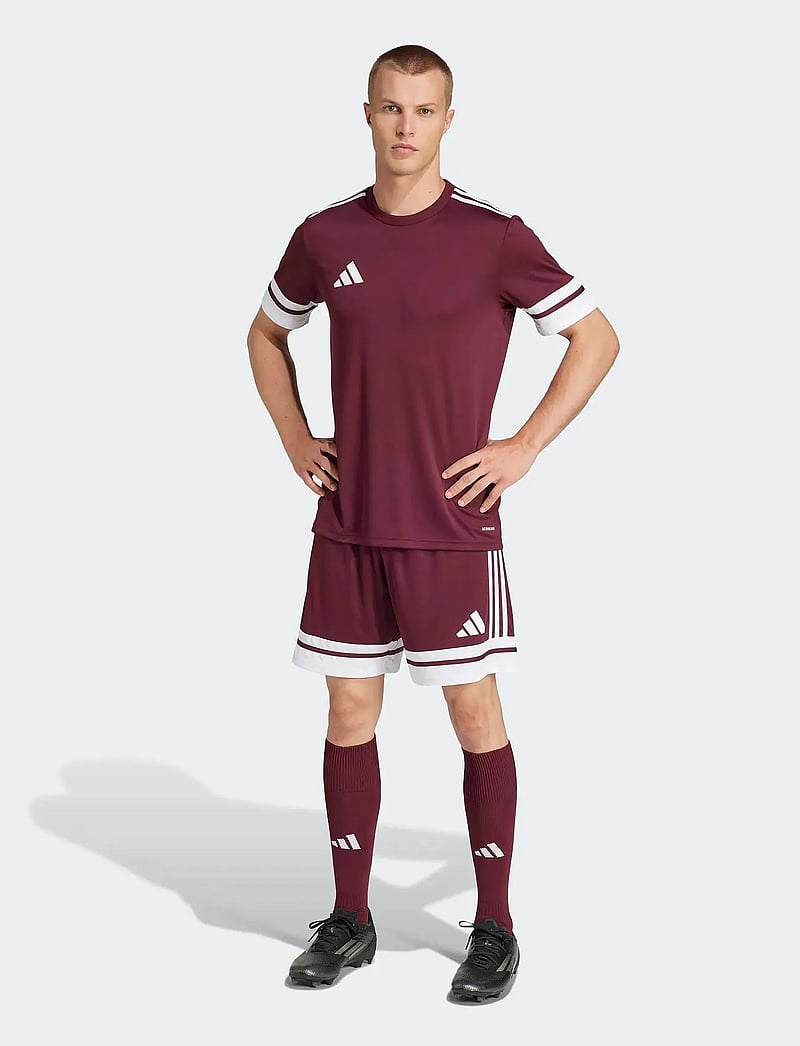 adidas Performance - SQUA25 SHO M - korte broek - teamar/white - 5