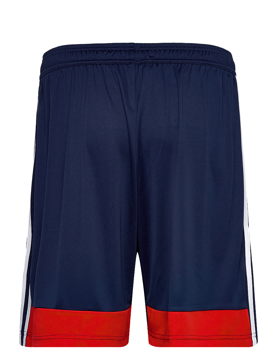 adidas Performance - TIRO ES SHO - lühikesed treeningpüksid - navblu/red - 1