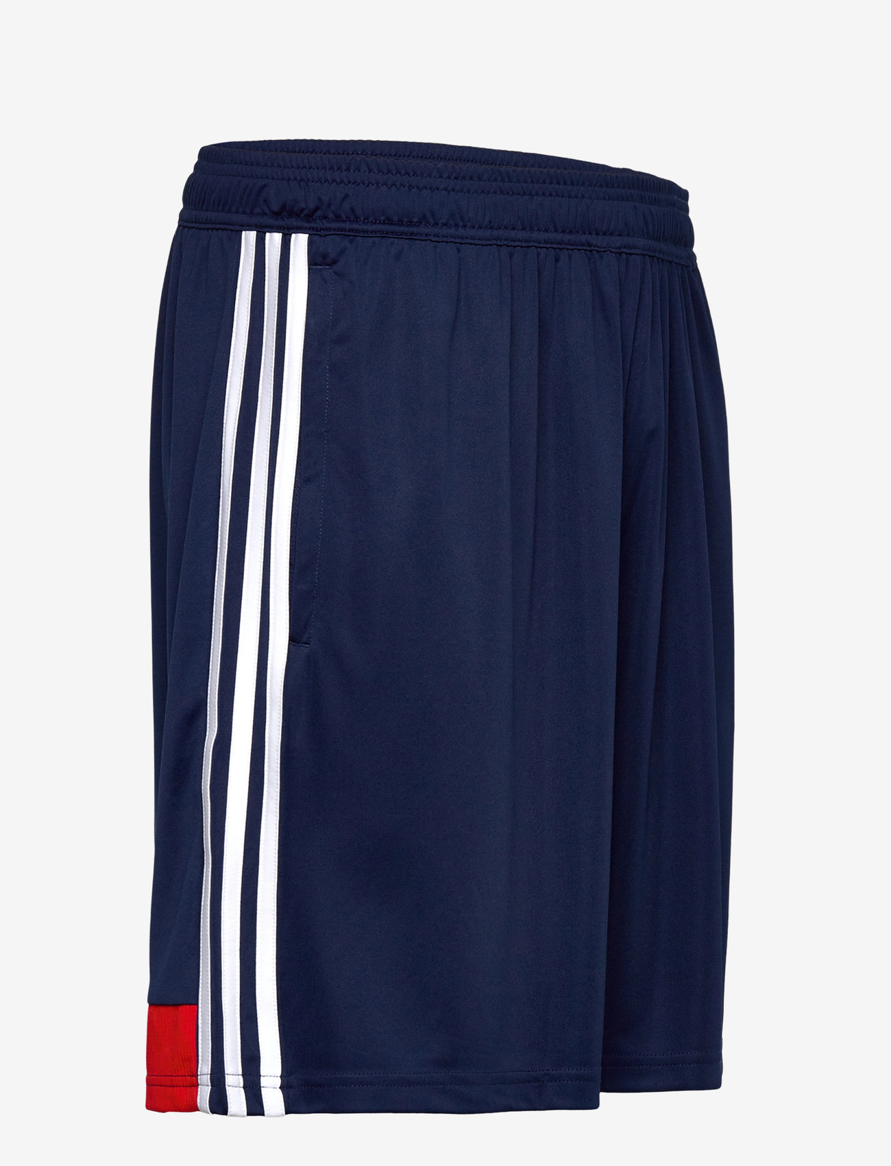 adidas Performance - TIRO ES SHO - träningsshorts - navblu/red - 3