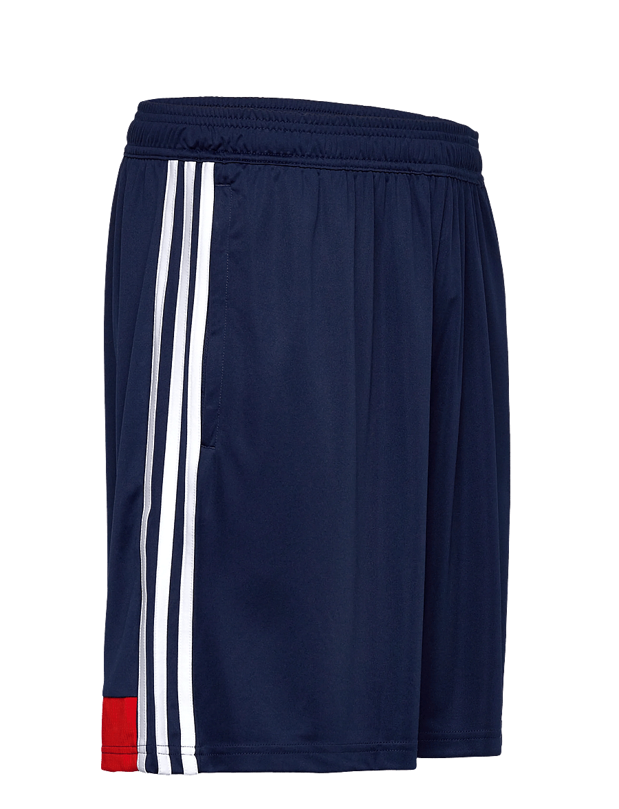 adidas Performance - TIRO ES SHO - lühikesed treeningpüksid - navblu/red - 3