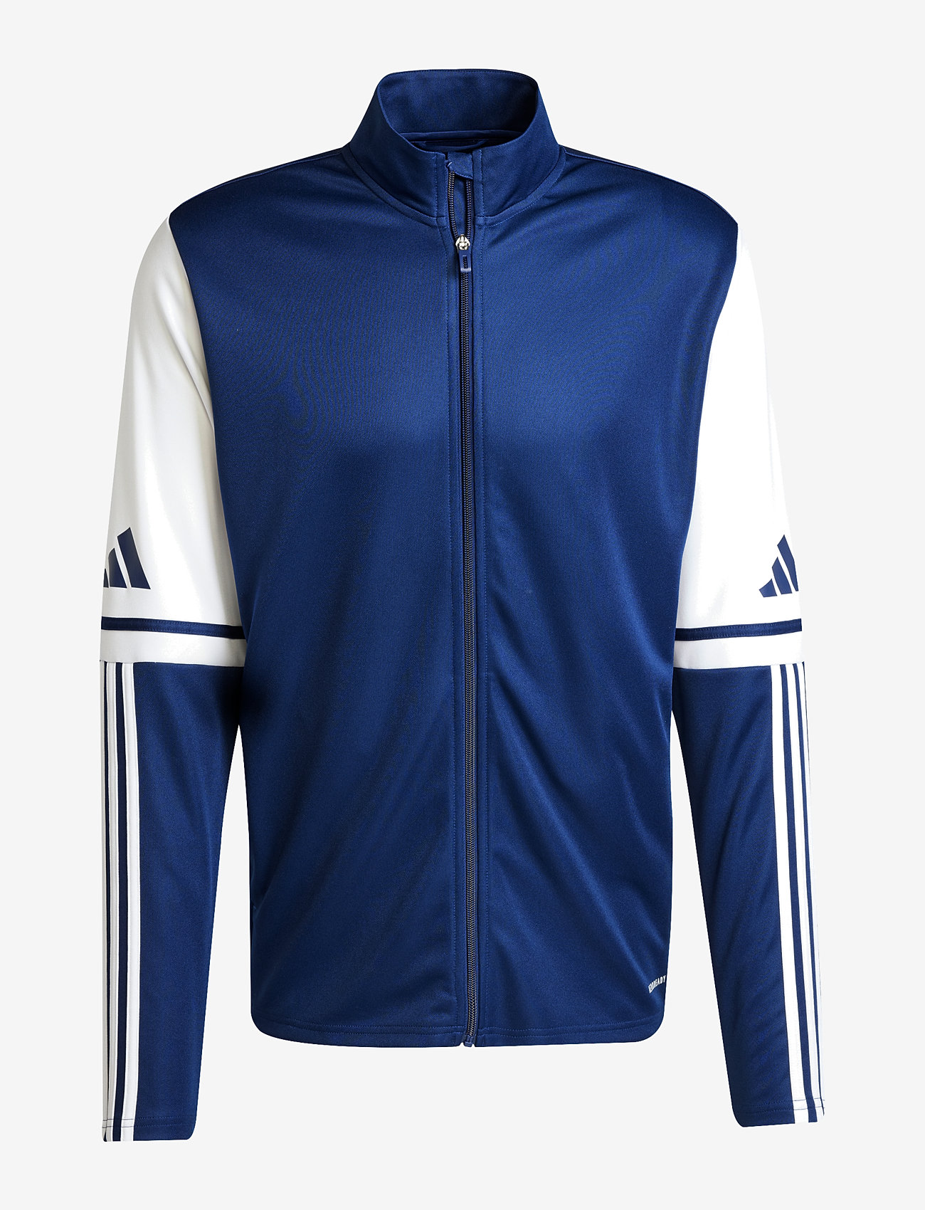 adidas Performance - SQ25 TR JKT - spordijakid - tenabl/white - 1