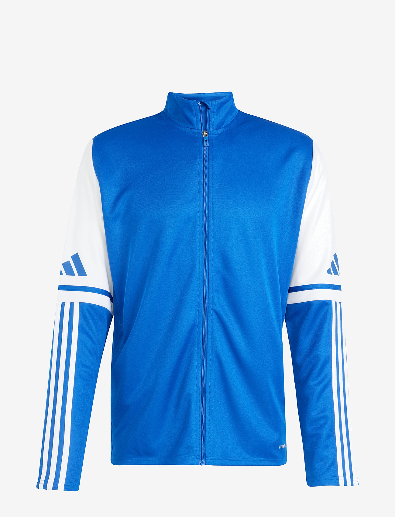 adidas Performance - SQ25 TR JKT - sportjacken - royblu/white - 1