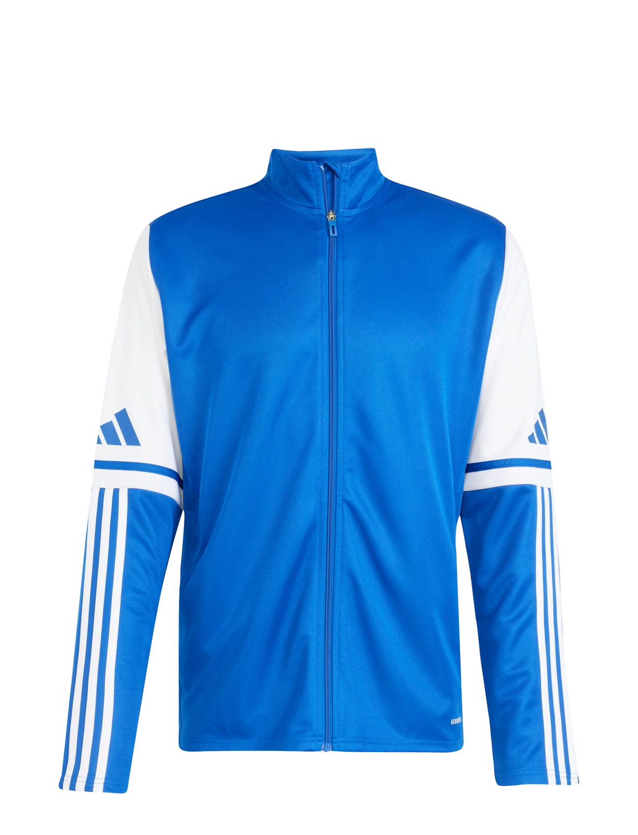 adidas Performance SQ25 TR JKT - adidas Performance - ROYBLU/WHITE / blue