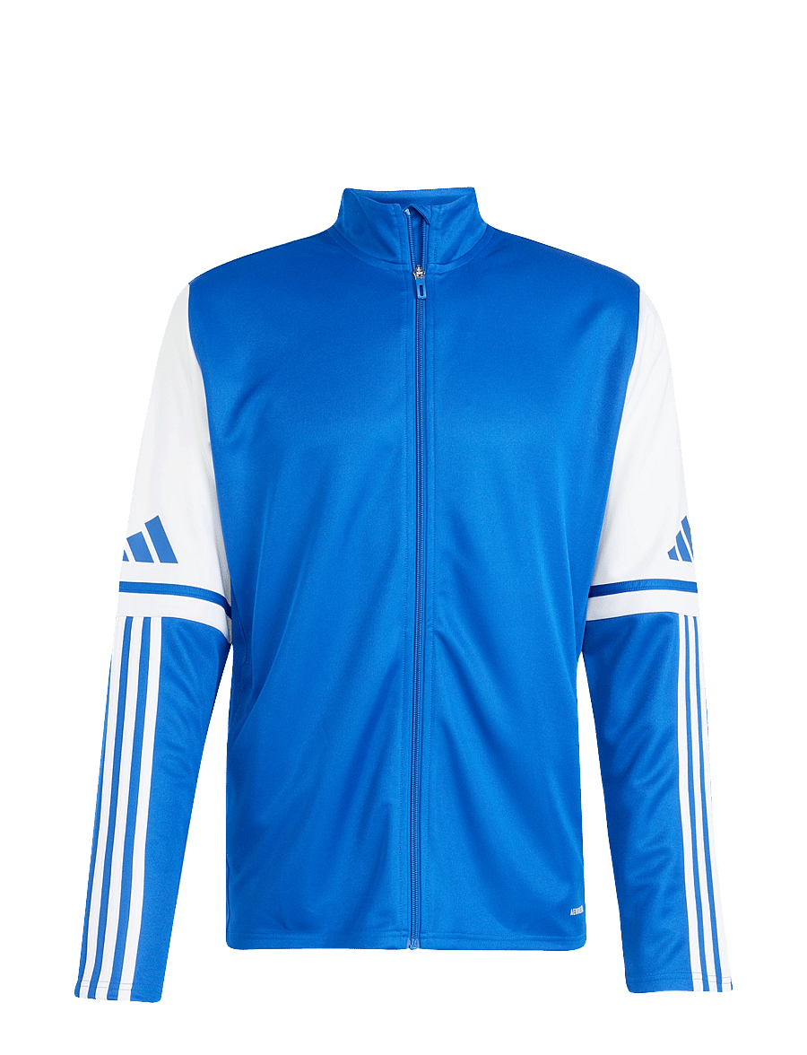 adidas Performance - SQ25 TR JKT - sportjackor - royblu/white - 1